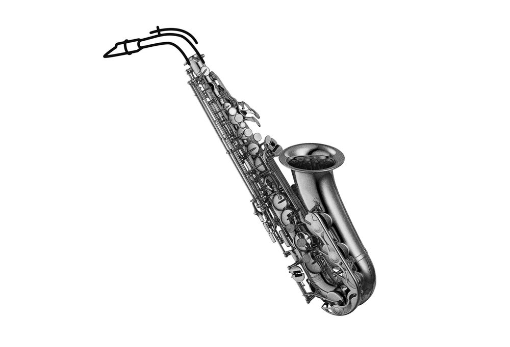 Saxophonunterricht Musikschule Birsfelden, Basel